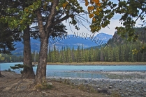 CANADA;ALBERTA;ICEFIELD_PARKWAY;CANADIAN_ROCKIES;ROCKY_MOUNTAINS;WATER;FALL;WATE
